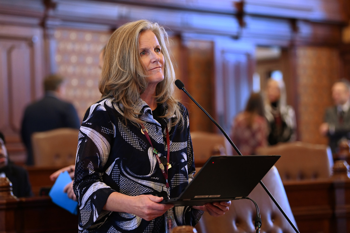 State Senator Laura Ellman
