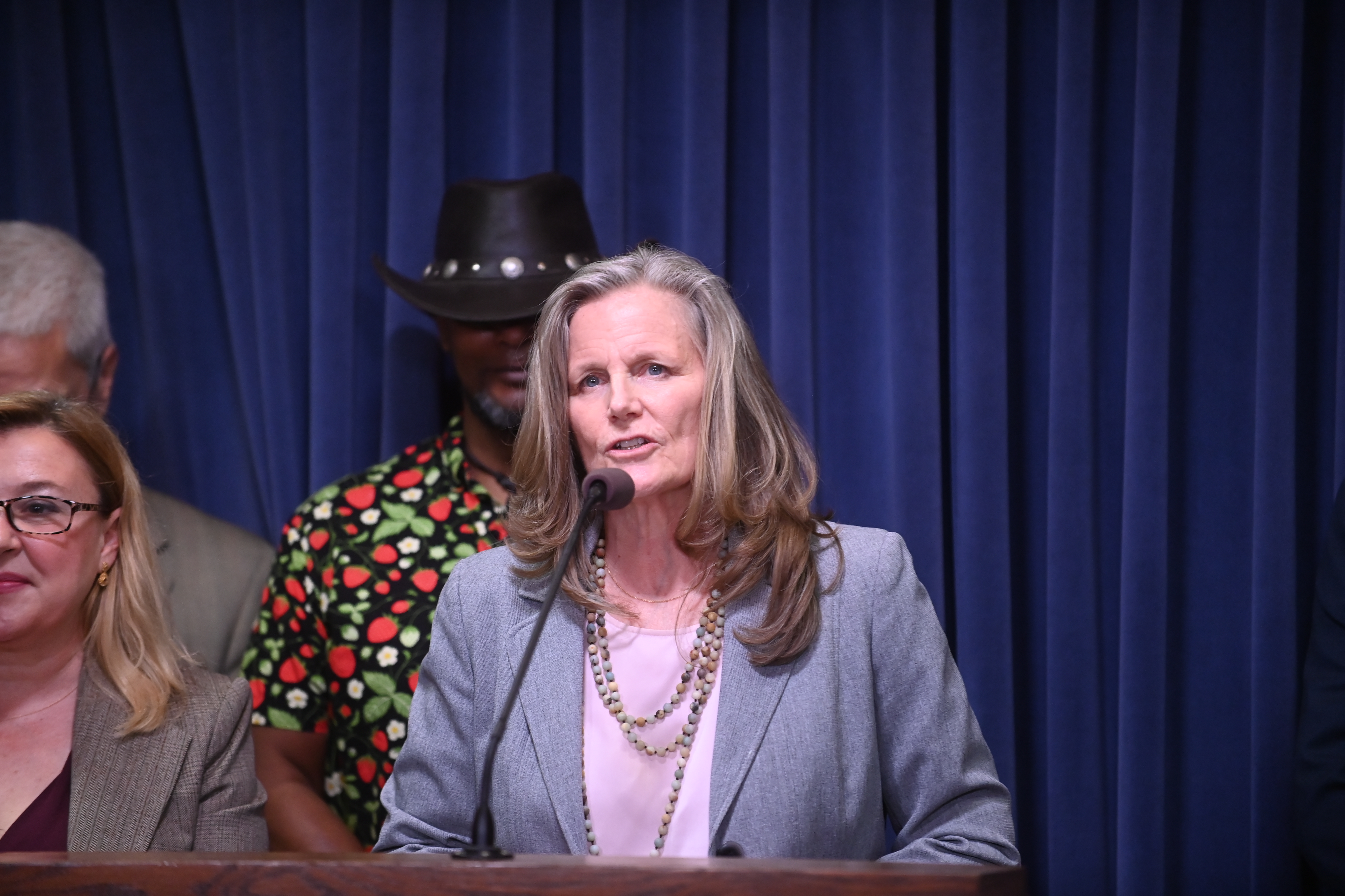 Senator Laura Ellman speaking at Illinois Environmental Council Press Conference 