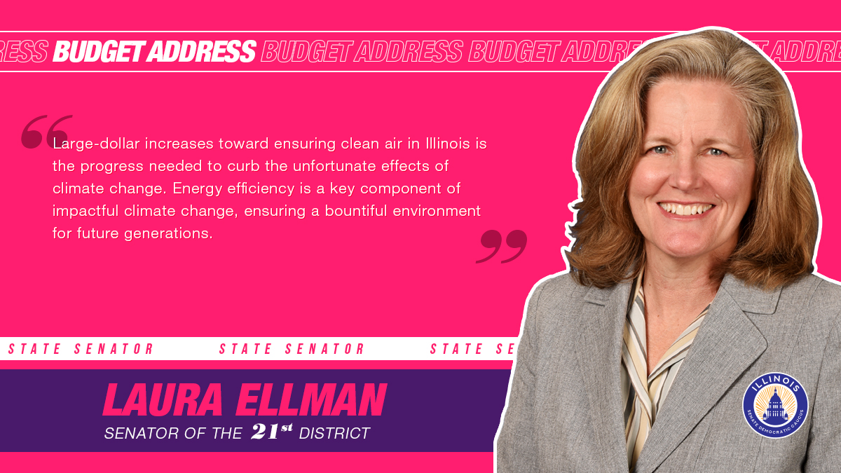 Ellman BudgetAddress